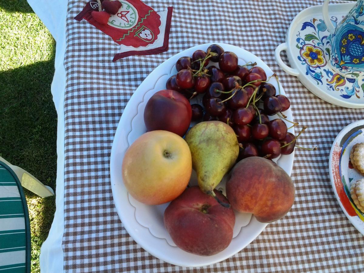 Bed and Breakfast Sa Mariposa Ittiri Екстер'єр фото